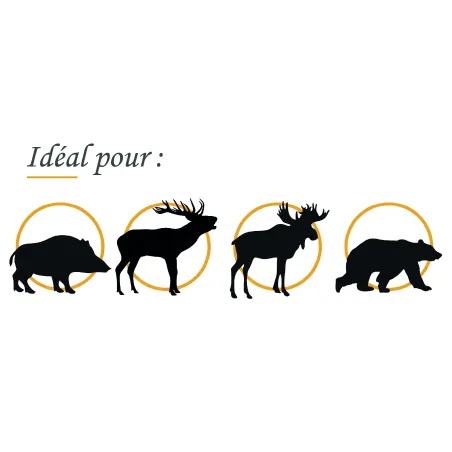 Balles sans plomb Fox Bullet Classic Hunter 30-06 - 180 Gr 