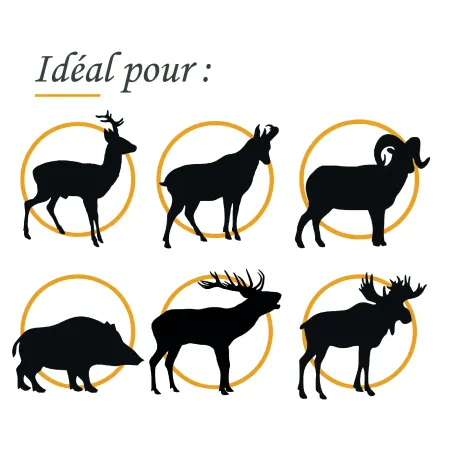 Ogive sans plomb Fox Bullets Classic Hunter 308 - 150 Gr x50 