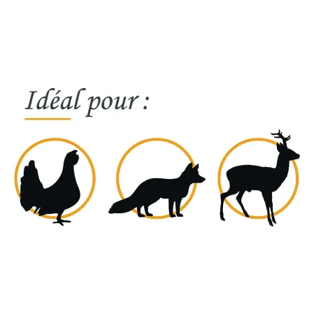 Balles sans plomb Fox Bullet Classic Hunter 222 REM - 45 Gr 