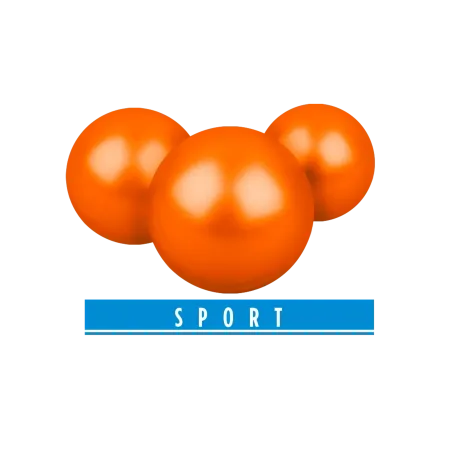 Billes pour arme de défense T4E Paintball Bio Orange - Cal. 43 x500 