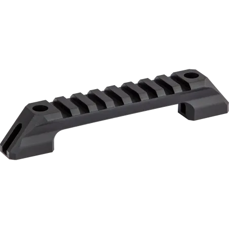 Rail picatinny court pour carabine PCP Walther Reign 