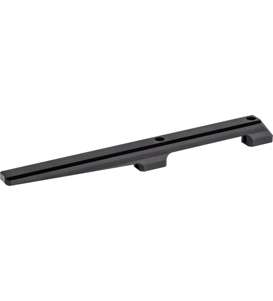 Rail prismatique 11 mm pour carabine PCP Walther Reign 