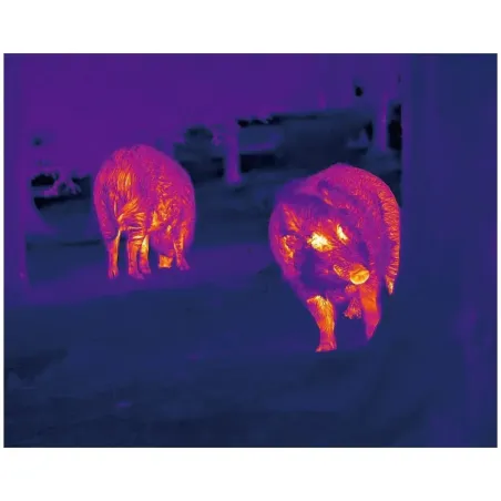 Monoculaire thermique Nocpix Lumi H35R LRF 