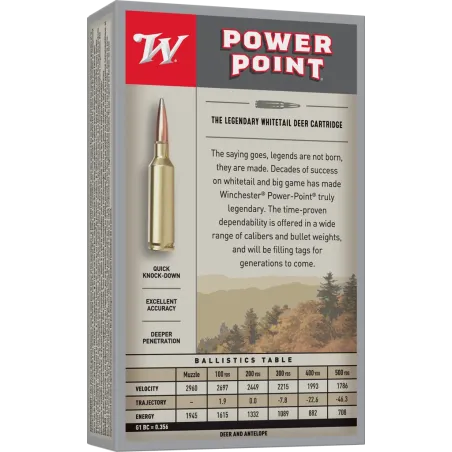 Balles de chasse Winchester Power Point 100 gr 