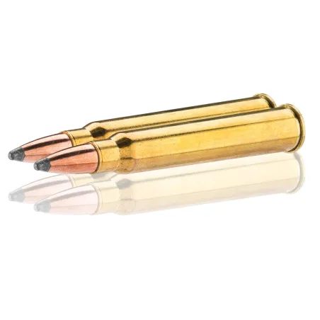 Balles de chasse Sologne Nosler Partition 180 gr 