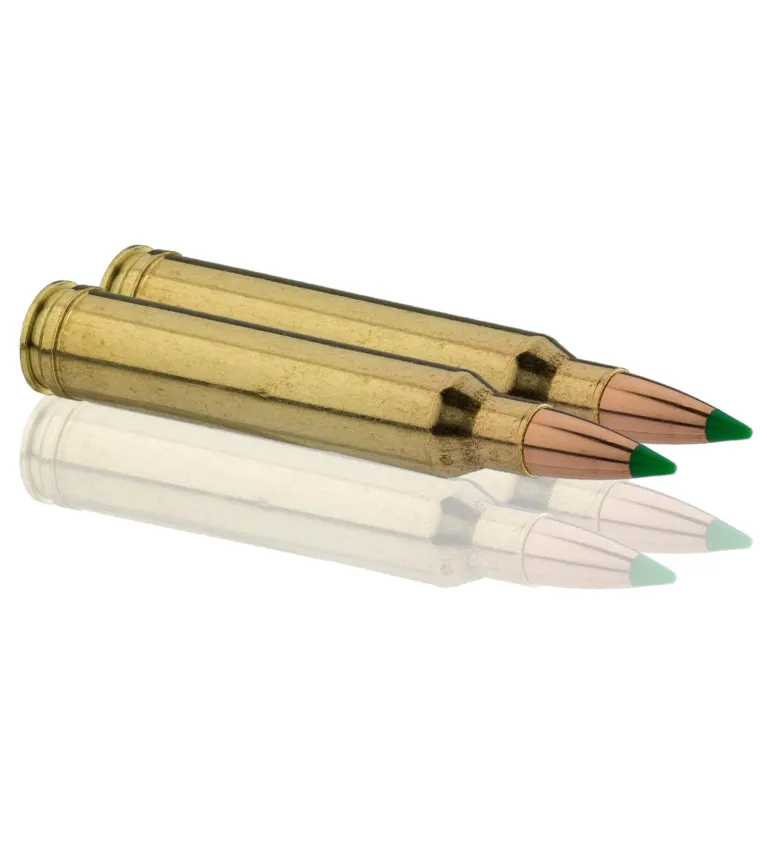 Balles de chasse Sologne Nosler Ballistic 150 gr 