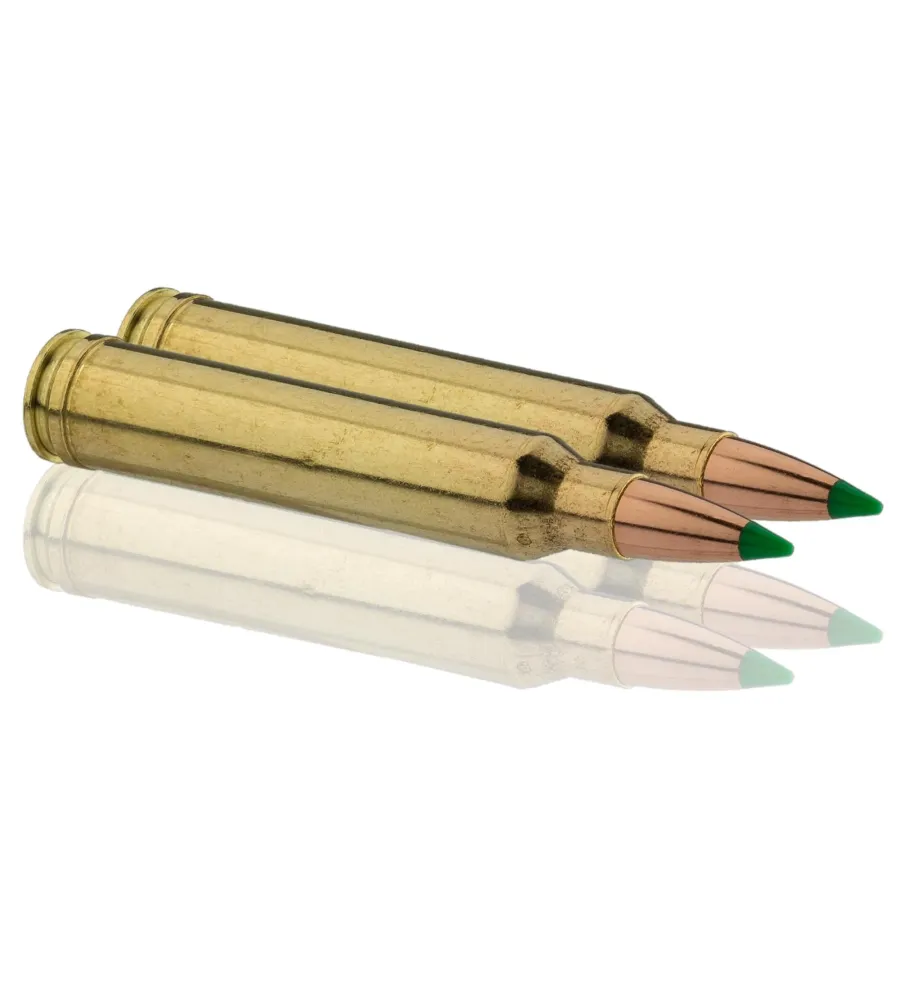 Balles de chasse Sologne Nosler Ballistic 150 gr 