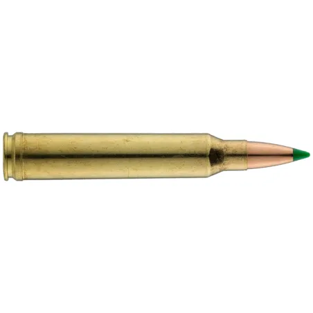 Balles de chasse Sologne Nosler Ballistic 150 gr 