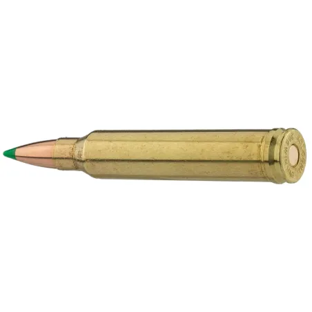 Balles de chasse Sologne Nosler Ballistic 150 gr 