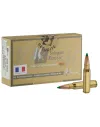 Balles de chasse Sologne Nosler Ballistic 180 gr 