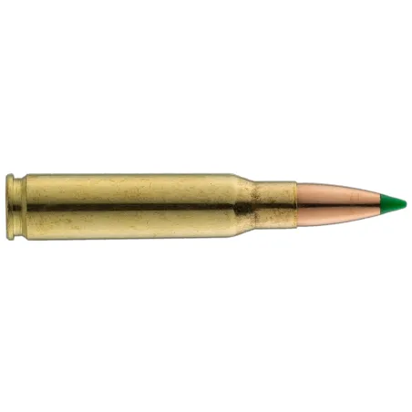 Balles de chasse Sologne Nosler Ballistic 180 gr 