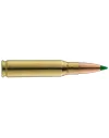 Balles de chasse Sologne Nosler Ballistic 180 gr 