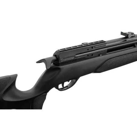 Carabine PCP Gamo Arrow - Cal. 4,5 mm - 19,9 J 