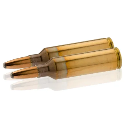 Balles Geco 270 WSM - Soft Point 140 gr 