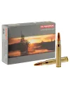 Balles Norma 30-06 - Plastic Point 180 gr 