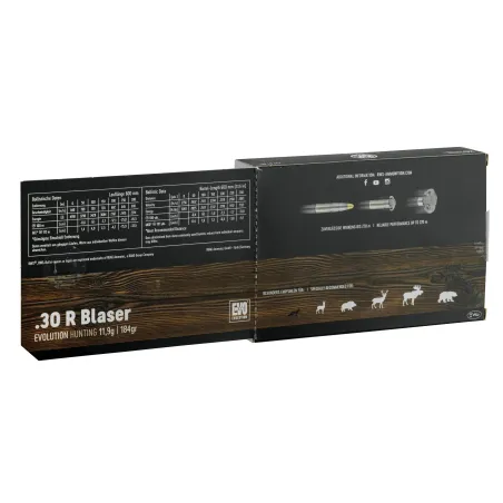 Balles RWS 30R Blaser - EVO 185 gr 