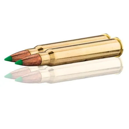 Balles Sologne 30 R Blaser - Nosler Balistic Tip 180 gr 