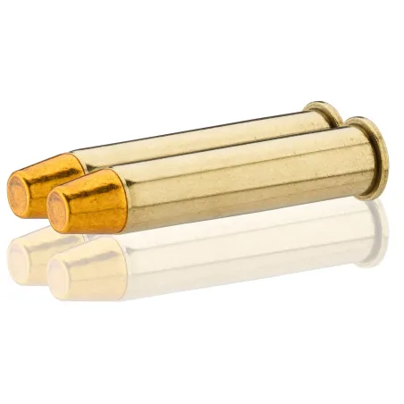 Balles Sologne 45-70 GVT - FN 300 gr 