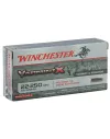 Balles Winchester 22-250 - Varmint-X Extreme Point 55 gr 