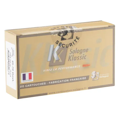 Balles Sologne 45-70 GVT - FN 300 gr 