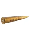 Balles Sologne 8x51R Lebel - Klassic 195 gr 