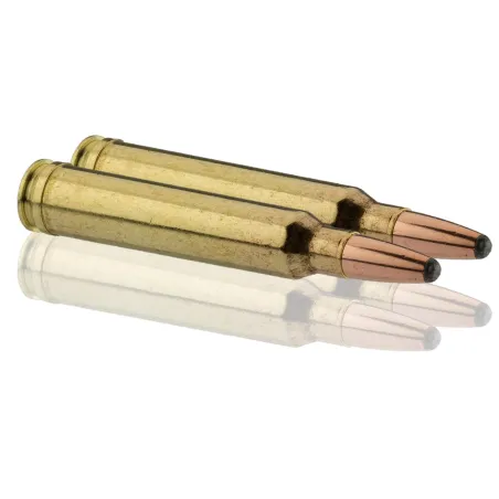 Balles Sologne 300 Win Mag - Nosler Partition 220 gr 