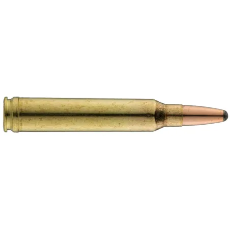 Balles Sologne 300 Win Mag - Nosler Partition 220 gr 