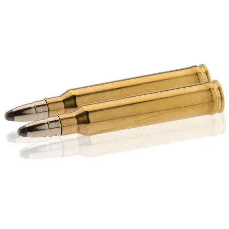 Balles RWS 300 WM - Uni Classic 181 gr 