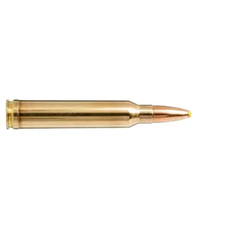 Balles Norma 300 Win Mag - Plastic Point 180 gr 