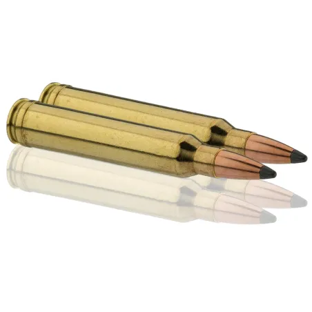 Balles Sologne 300 Win Mag - Nosler Partition 180 gr 