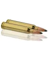 Balles Sologne 300 Win Mag - Nosler Partition 180 gr 