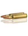 Balles Norma 222 Rem - Varmint Extreme 55 gr 