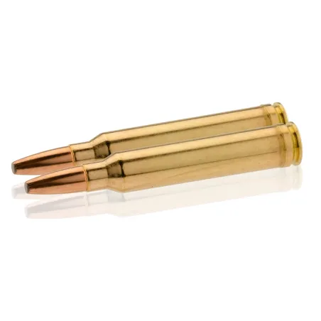 Balles Norma 300 Win Mag - Oryx 200 gr 