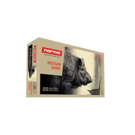Balles Norma 300 Win Mag - Plastic Point 180 gr