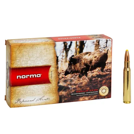 Balles Norma Plastic Point 300 Win. Mag. 180gr - Tout-Chasse.fr