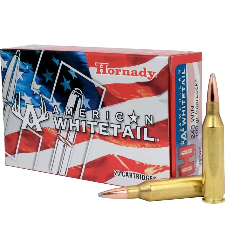 Balles Hornady American Whitetail 243 Win 100 gr 