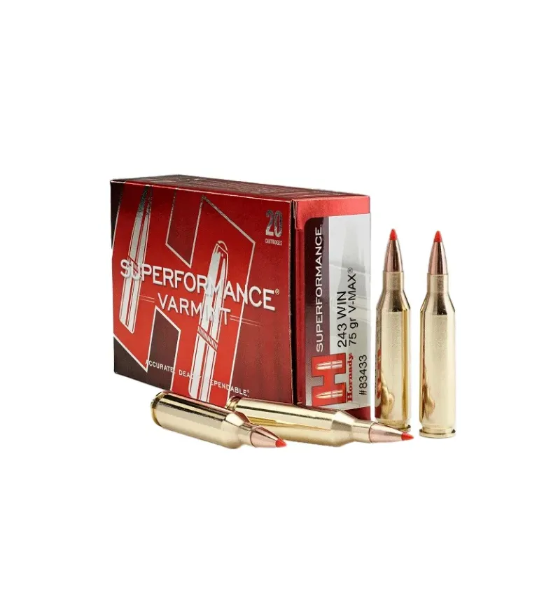 Balles Hornady Superformance Varmint 243 Win 75 gr 