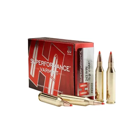 Balles Hornady Superformance Varmint 243 Win 75 gr 