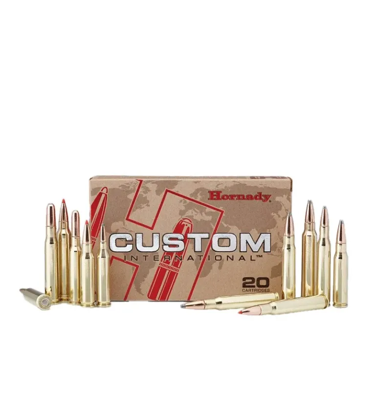 Balles Hornady Custom 300 WM 180 gr 
