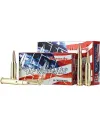 Balles Hornady American Whitetail 308 Win 165 gr 