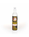 Décapant pour plomb et poudre - 200 ml 