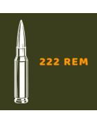 Balles 222 REM - Tout-Chasse.fr