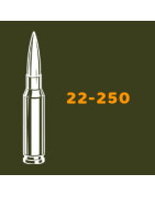 Balles 22-250 - Tout-Chasse.fr