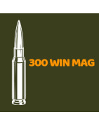 Balles 300 Winchester Magnum