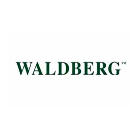 Waldberg